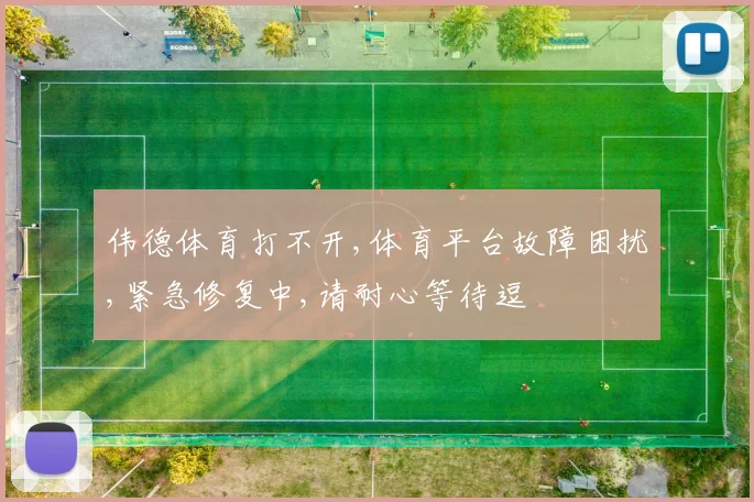 伟德体育打不开,体育平台故障困扰,紧急修复中,请耐心等待逗